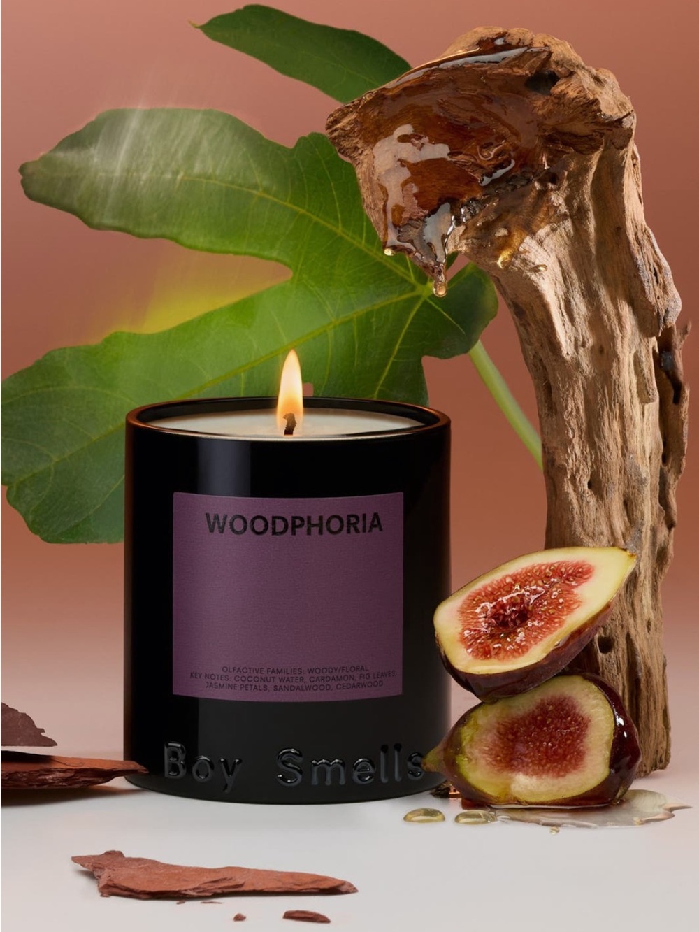 Boy Smells Woodphoria Candle